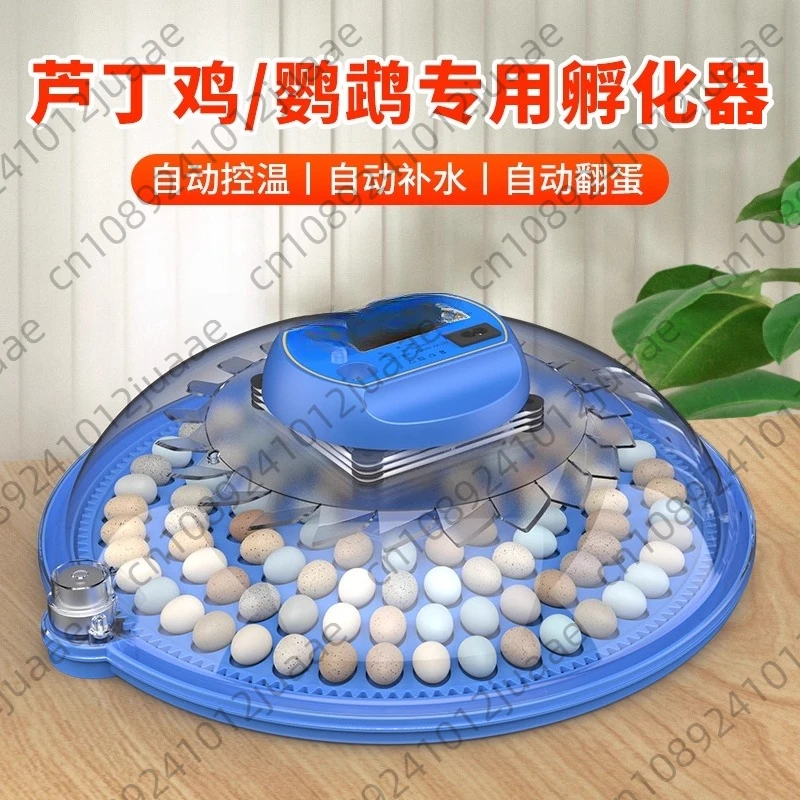 

Incubator Small Household Mini Incubator Intelligent Automatic Bird Eggs Rutin Chicken Incubator