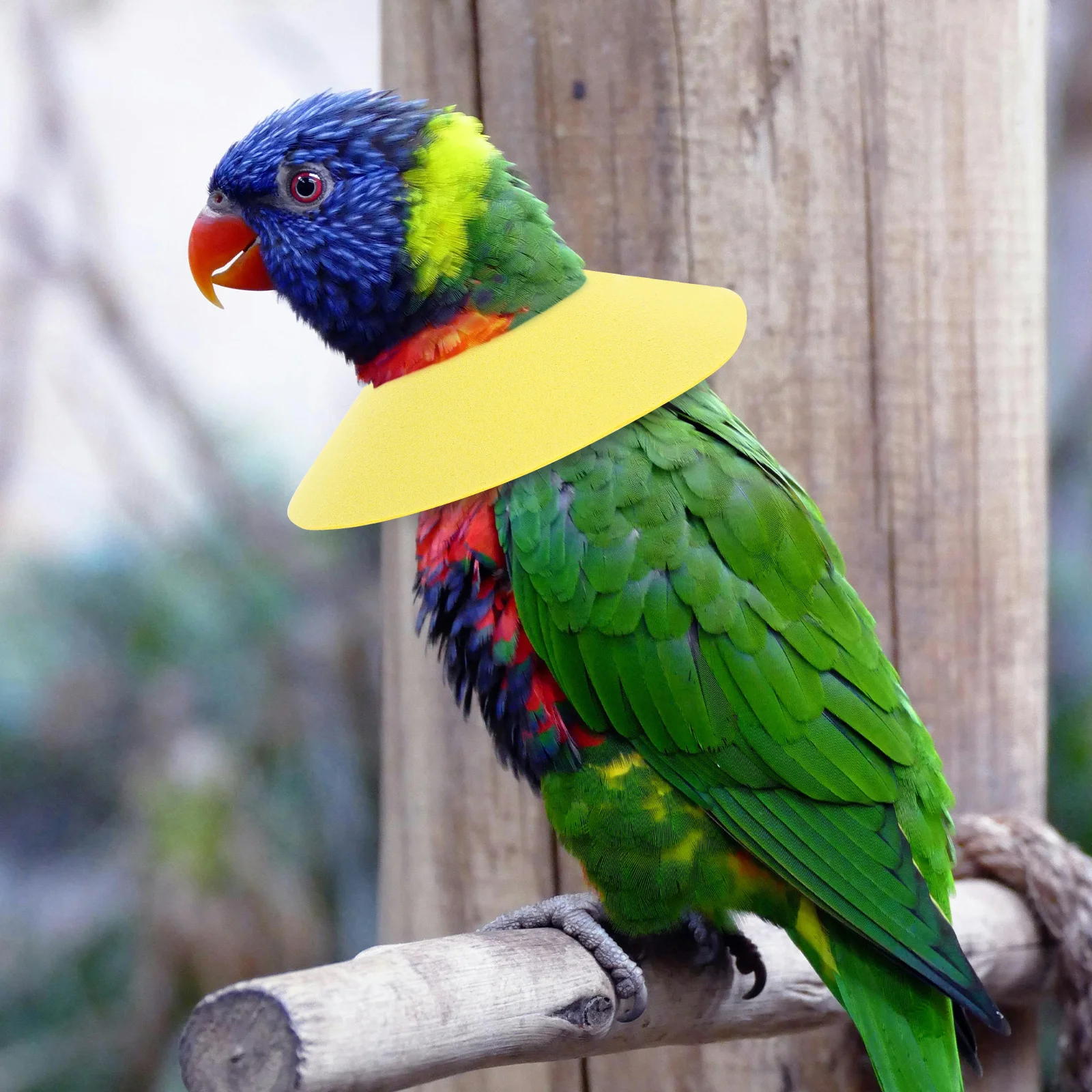 

Parrot Collar Bird Neck Cone Anti-Biting Tool Injury Recovery Gentle Comfortable Decorative Bird Collar Bite Lick Resistant