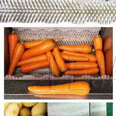 

220V Fruit And Vegetable Washer Commercial Root Washer Fruit Washing Machine