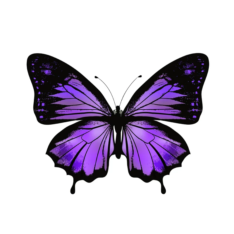 

JP 13.9cm * 10.7cm interesting butterfly pattern decoration, covering scratches, scratch proof motorcycle and car stickers