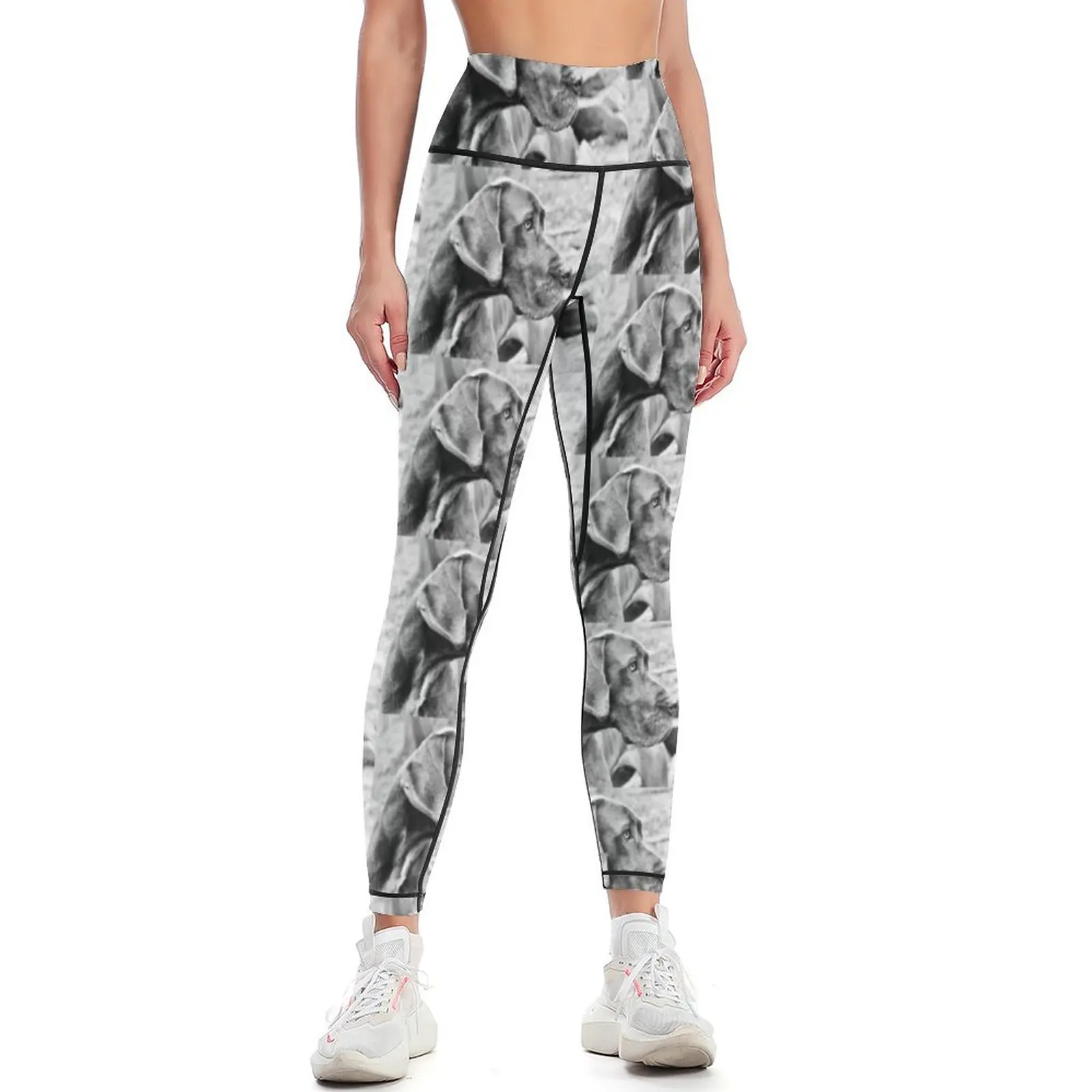 

Blue Black Great Dane Leggings Women's sportswear Legging sexy woman Womens Leggings