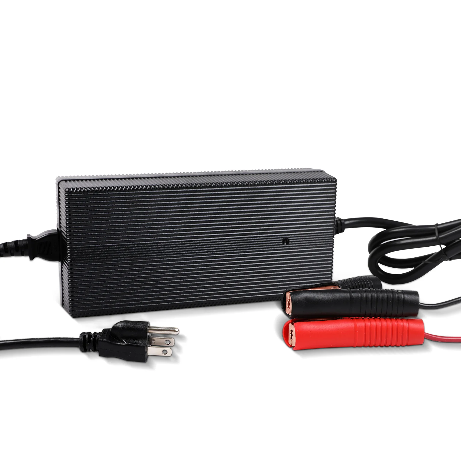 

Renogy 12V 20A AC-to-DC Portable Battery Charger Plug-and-Play with 12AWG Alligator Clips for Lithium-iron Phosphate Batteries