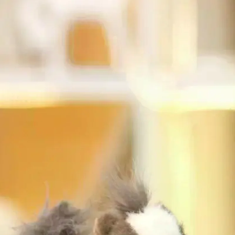 Porte-clés cheval de dessin animé 15cm, 1 pièce, poupée en peluche douce, chien en peluche, sac à dos, pendentif, cadeau pour fille et femme