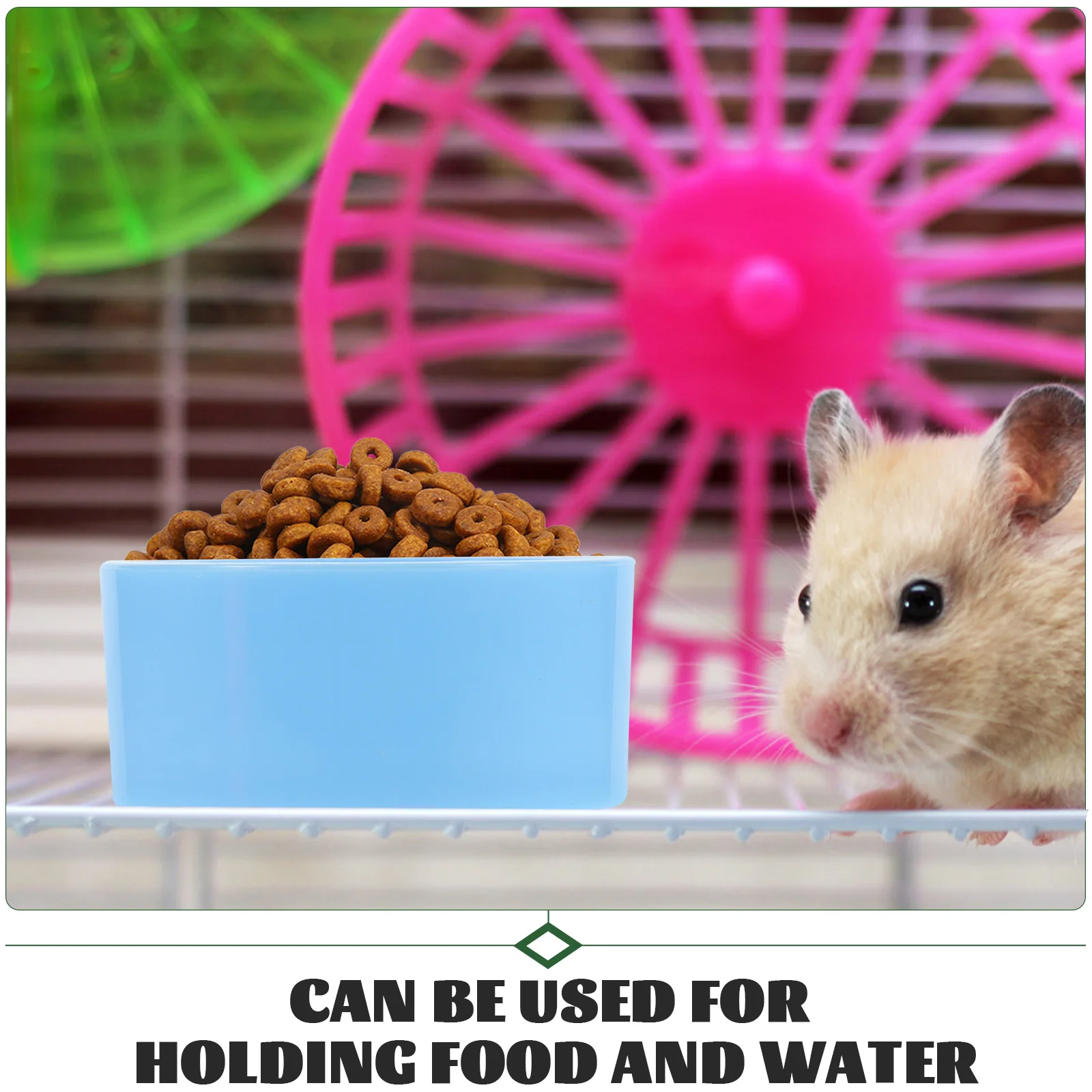 

4pcs Hamster Bowl Guinea Pig Feeder Plastic Chinchilla Food Accessory Blue Pink Easy Wash Safe Material Pet Supplies