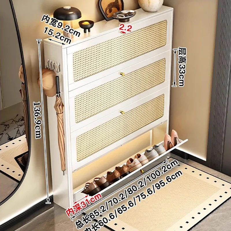 Compact Creative Metal Shoe Cabinet Functional Durable Mirrored Distinctive Shoe Cabinet Armoire Chaussures Modern Furniture