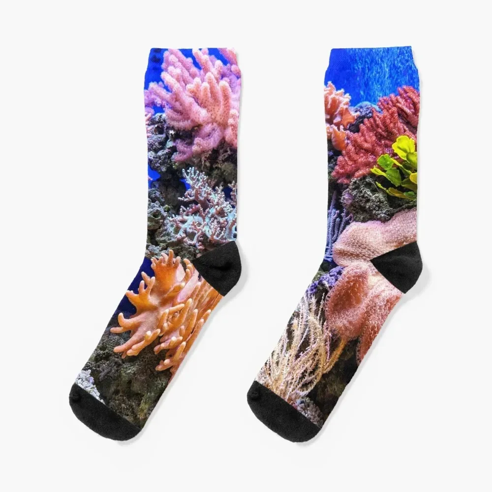 

Diving at the Great Barrier Reef Socks gifts cotton man ankle Socks Man Women's