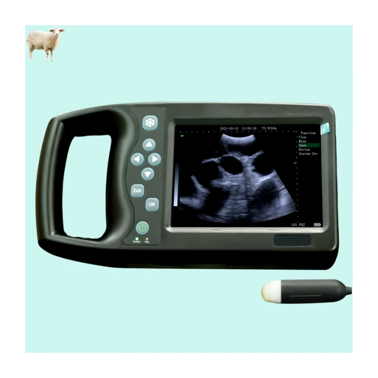 

Cheap Price Easy Carry Handheld Portable Scanner Machine Veterinary Ultrasound 10 Kinds of Pseudo Colors 5.7 Inch Screen