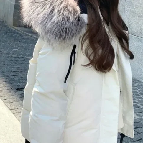 معطف نسائي بقصة عادية وسحاب للإغلاق، جاكيت قطني قصير، معطف بياقة من الفرو، مادة الشنيل الثلجية من ألياف البوليستر #2