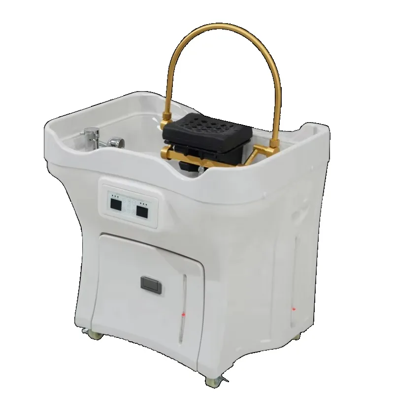 

Modern Portable Mobile Hair Salon Shampoo Basin Water Tank with Water Circulation Fumigation Steamer for Head Spa