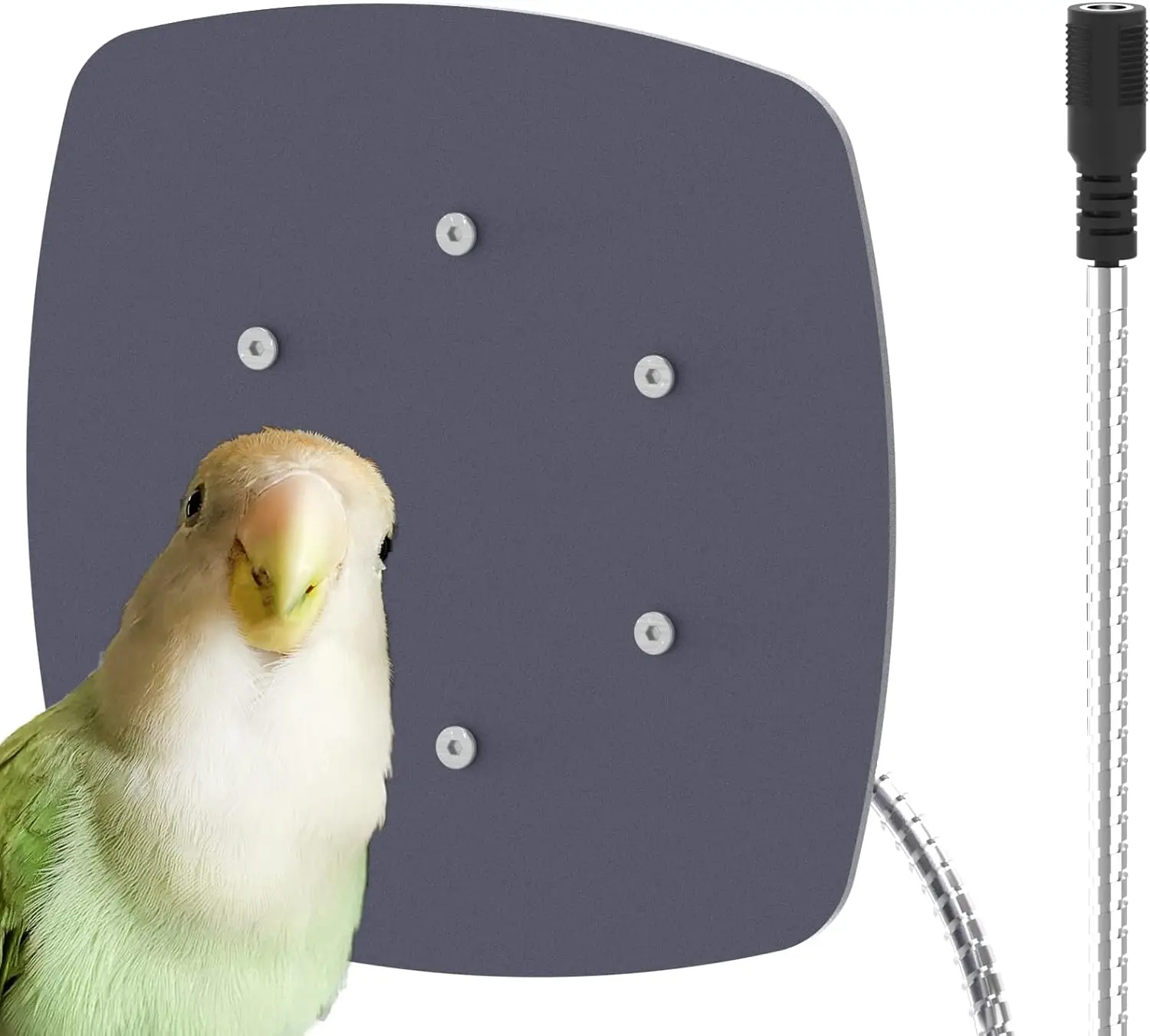 

Waterproof Bird Cage Heater with Thermostat, 12V Safe Warmer for Parakeets and Small Birds