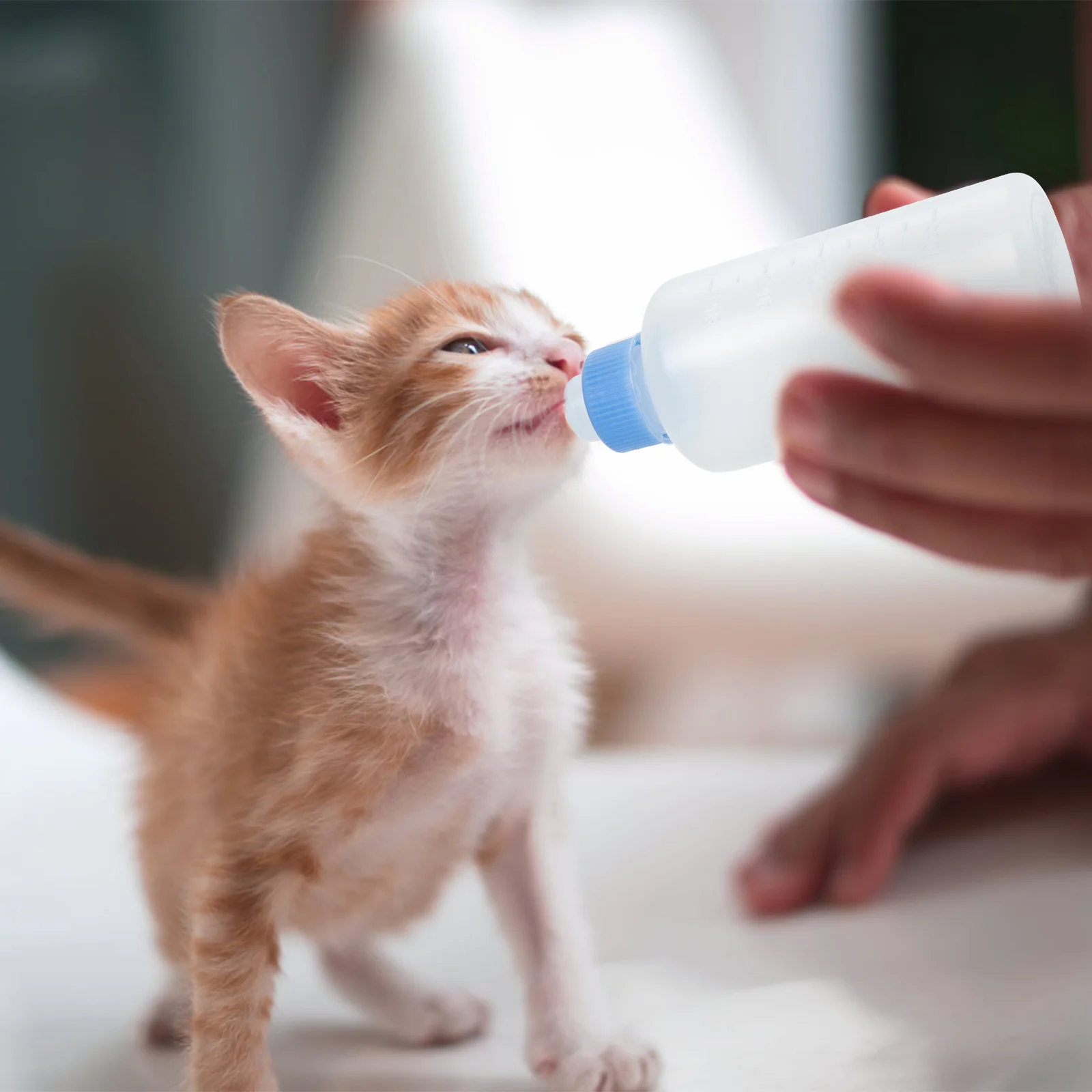 

3Pcs Bottles Cat Feeding Bottle Premium Plastic Leakproof Design for Puppy Kitten Nursing Household Pet Feeders