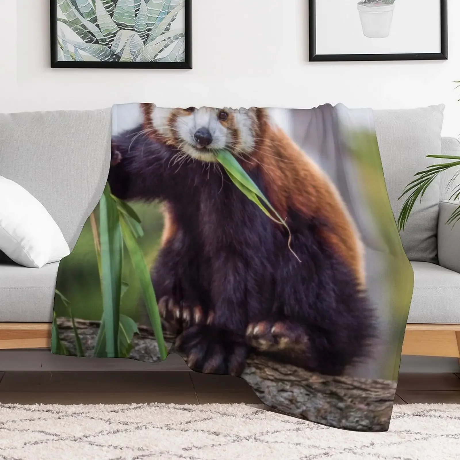 Red Panda Throw Blanket Flannel Fleece Soft Warm Throw Blanket