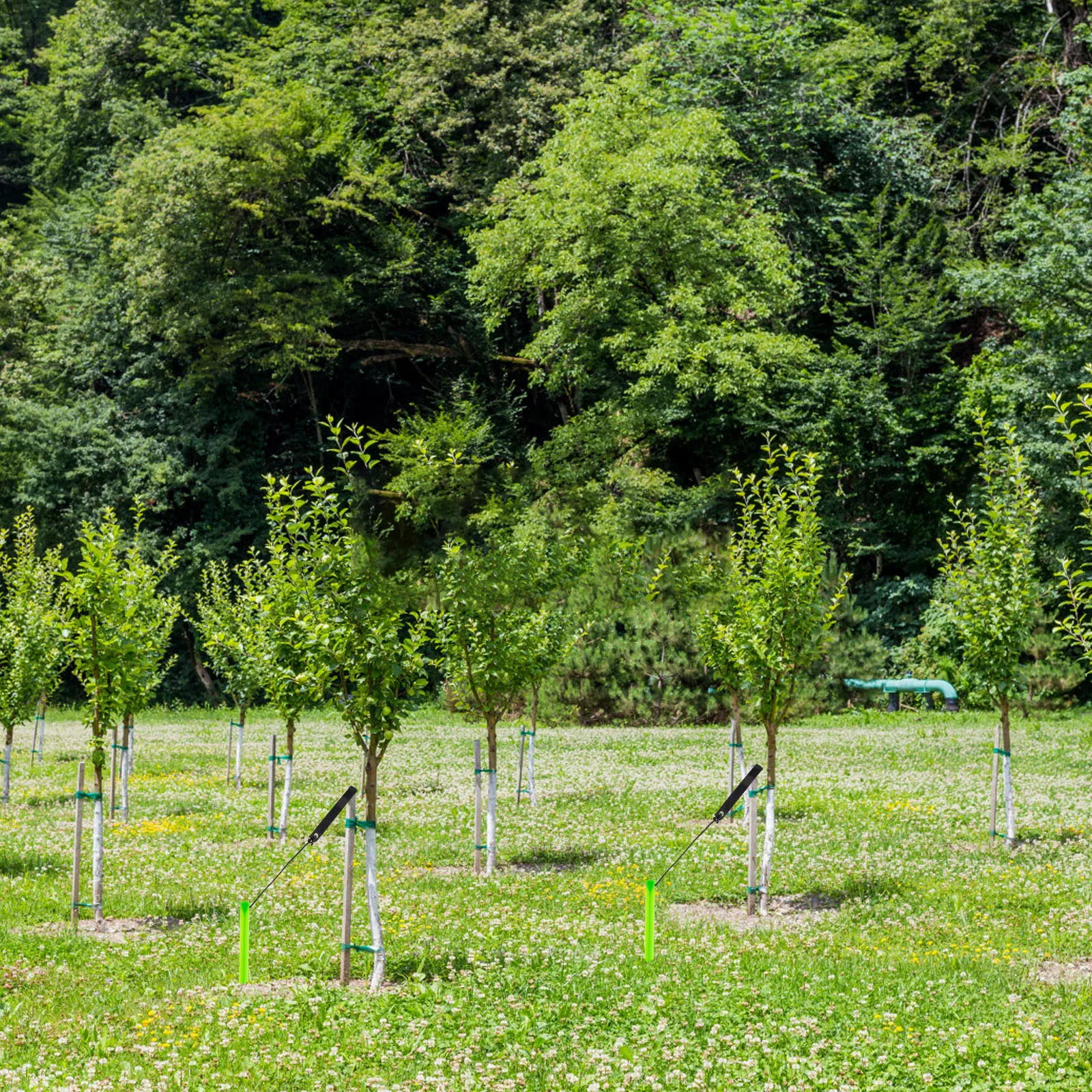 

Accessories Tree Support Anchor Kit Plants Trees Nylon Garden Supports for Leaning