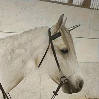 ?One-horned Horse Headbands Design Suitable For Equestrian Activities, Performances And Daily Outfits, Horse Gear Decoration 4
