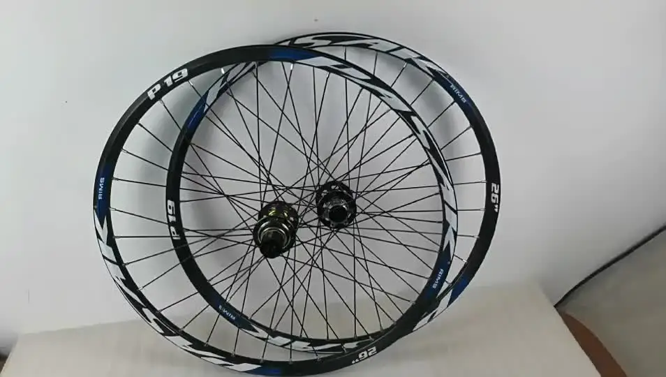 PASAK MTBバイクホイール 29インチ レインボーカラー