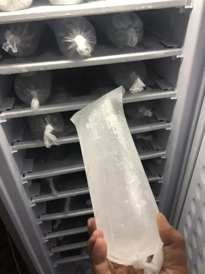 200L Solar Power Ice Maker Freezer for Africa
