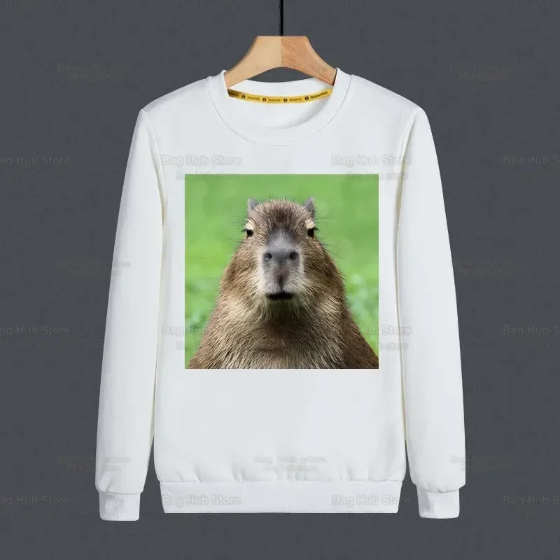 Capybara Divertenti Felpe con cappuccio Donna/Uomo Moda Animale OK I Pull Up Felpa Vendita calda Abbigliamento casual