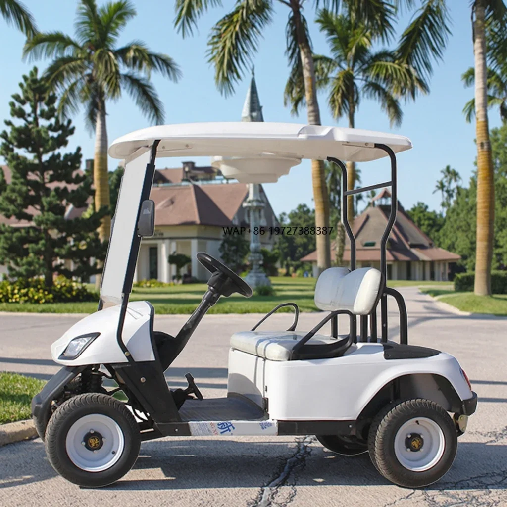 

High Quality 4-Wheel Electric Mini Golf Cart with 48v Battery Single Seat EEC Certified New Selling Buggy