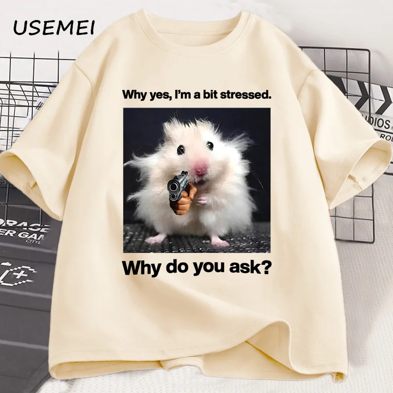 Why Hes, Im A Bit Stressed, Why Do You Ask Shirt Funny Shirt Ironic Weirdcore Clothing Low Poly Feline Oddly Specific Unhinged