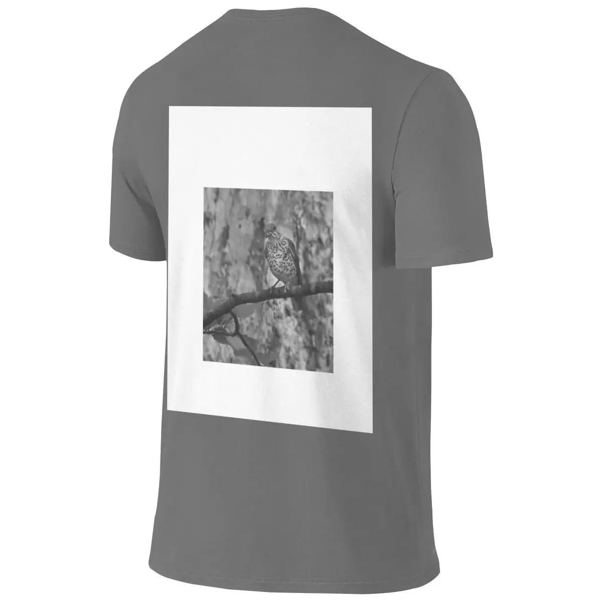 Spotted Thrush Perched On Branch Sweat-Absorbing Reversible T-shirt Japanese Style City Boy Full Texture T-shirt