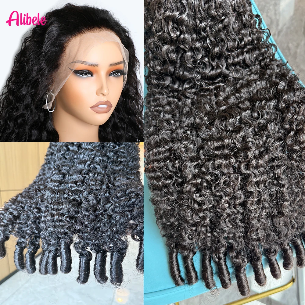 

Alibele Natural Color 250% High Density Virgin Human Hair Wigs Burmese Curly 13x4 HD Transparent Lace Frontal Wigs Bouncy Curly