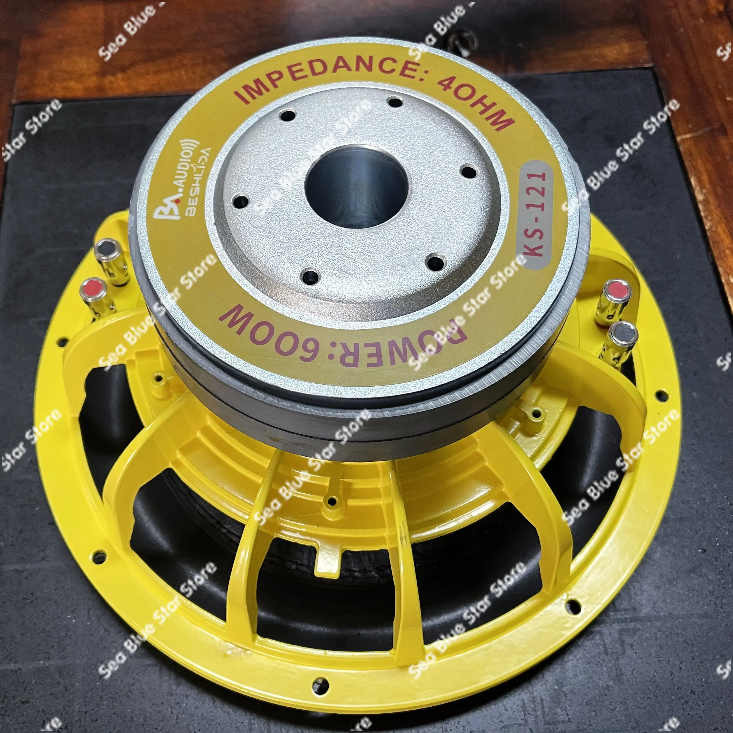 

Long Stroke High Power 10 Inch 12 Inch Reinforced Subwoofer Double Voice Coil Car Subwoofer Horn