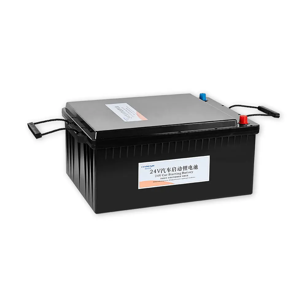 

12V 24V 100Ah/200Ah Prismatic Lithium Ion Battery