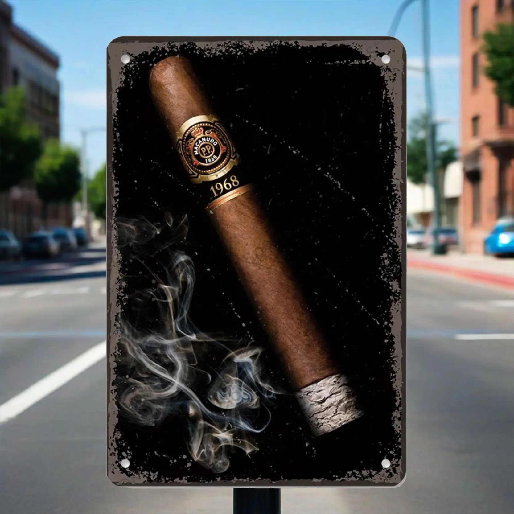 

Vintage Tin Painting: Retro Cigar Metal Wall Decor 20x30cm