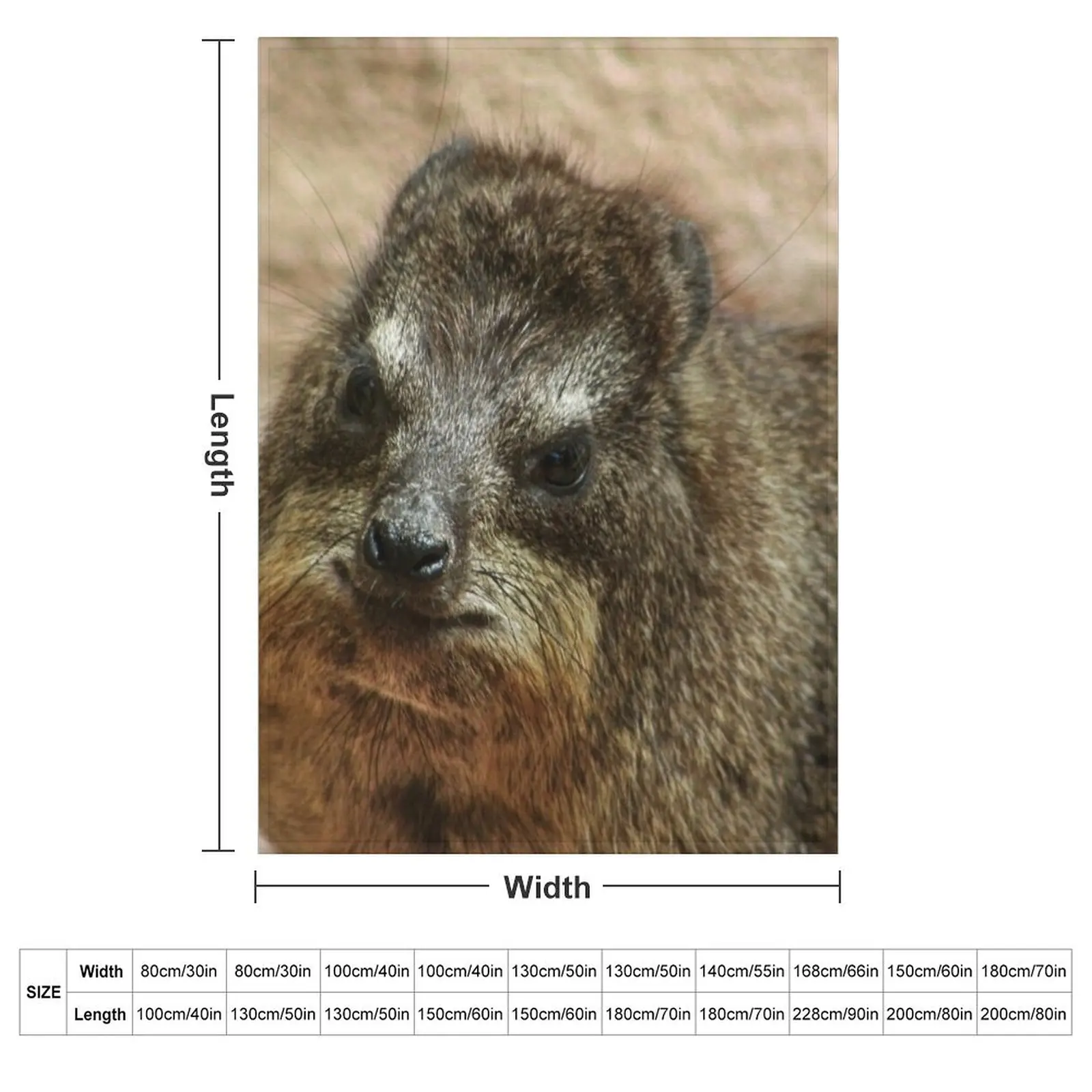Close up of rock hyrax Throw Blanket valentine gift ideas Loose Hair funny gift Luxury Thicken Bed Fashionable Blankets