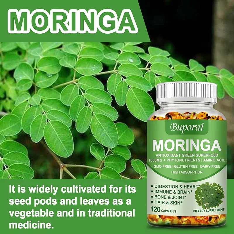 Moringa - Support Immune System, Energy, Metabolism, Detoxification, Antioxidant