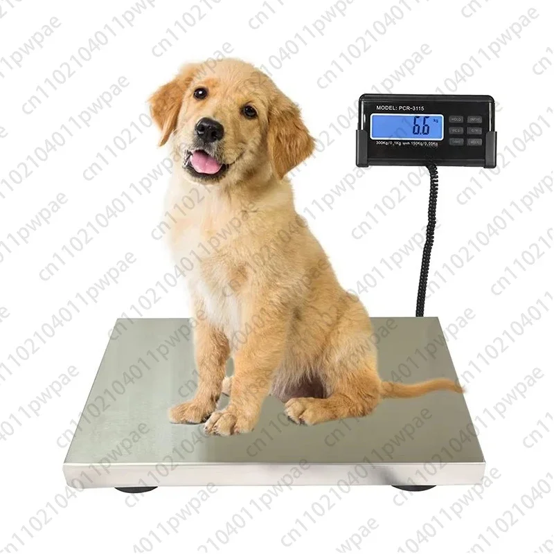Transport Electronic Scale 330 lbs / 660 lbs 0.1 kg Steel Platform AC/DC Charging LCD Display Industrial-Grade Digital Scale