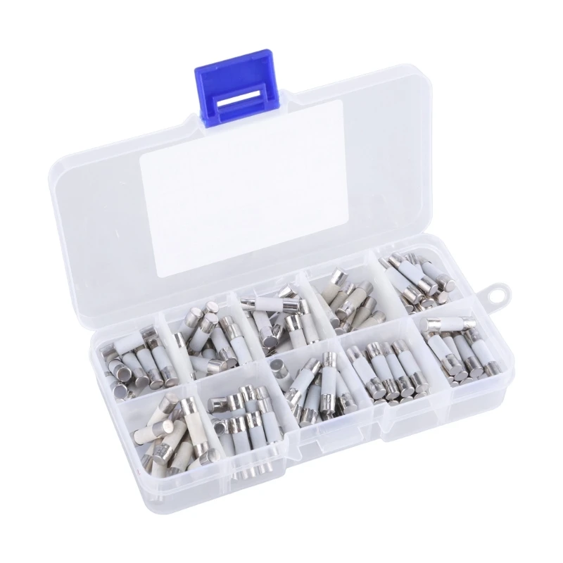 Fine Fuses with Storage Box Pack of 100 Ceramic Tubes 5x20mm Glass Tubes 250V Dropship