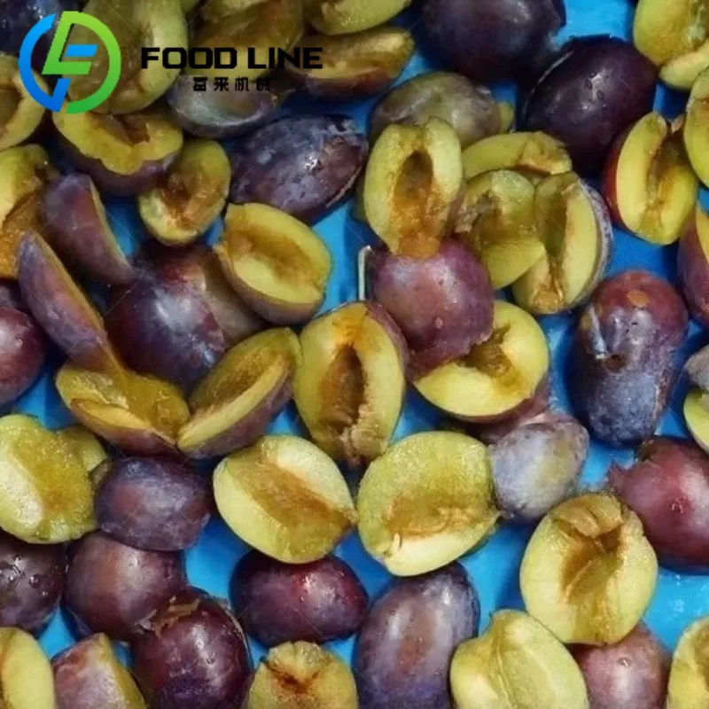 Kommerzielle Prune Core Removal Separating Machine Apricot Amla Seed Destone Pitting Machine Core Pitting Machine Dates Olive