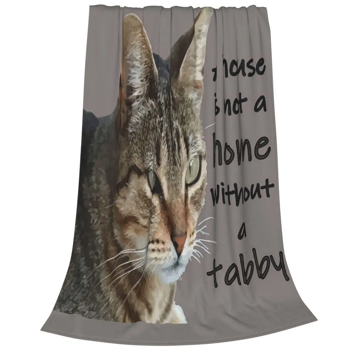 A House Is Not A Home Without A Tabby Cat Blankets Flannel Sofa Throw Blankets For Home Bedroom Office Throws Bedspread Quilt