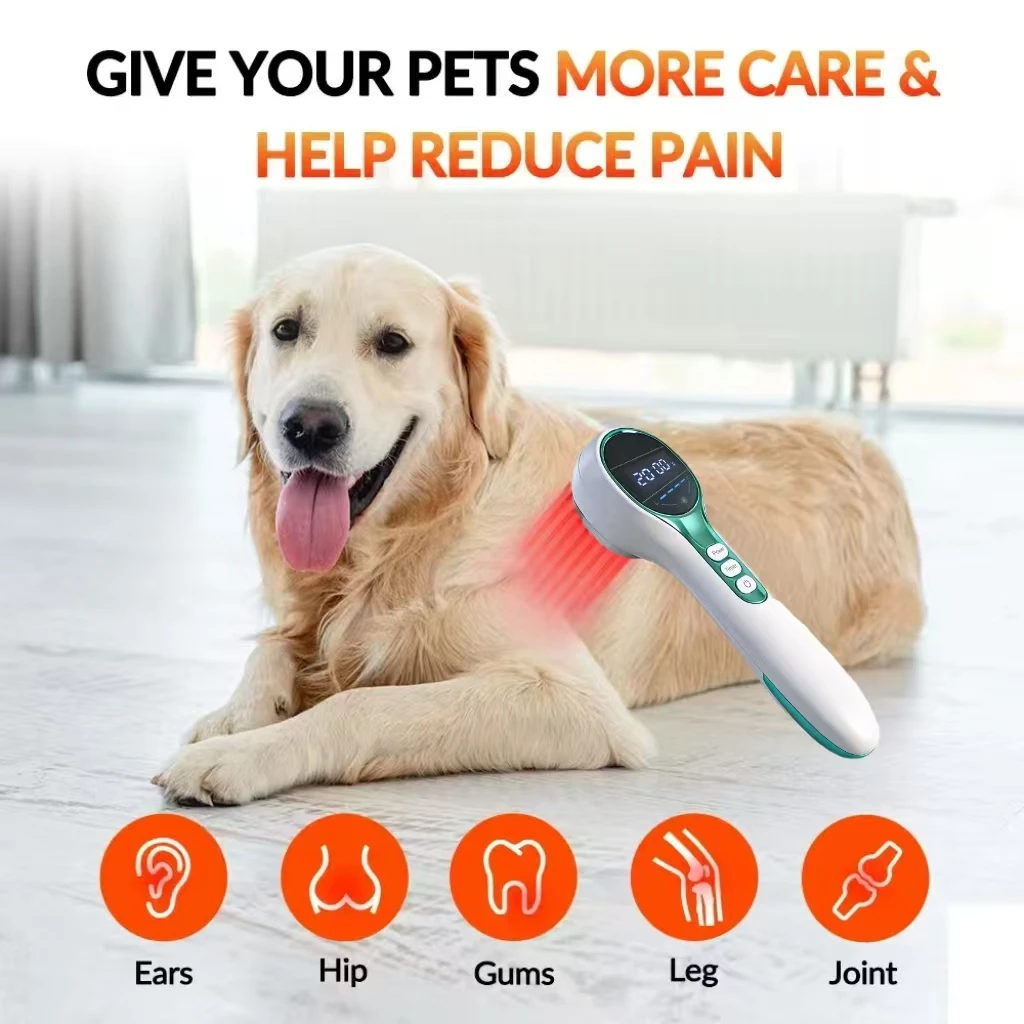 Professional Laser Therapy Device High Power 808nm with 650nm Red Light for Arthritis Sciatica Sports Injuries Pain