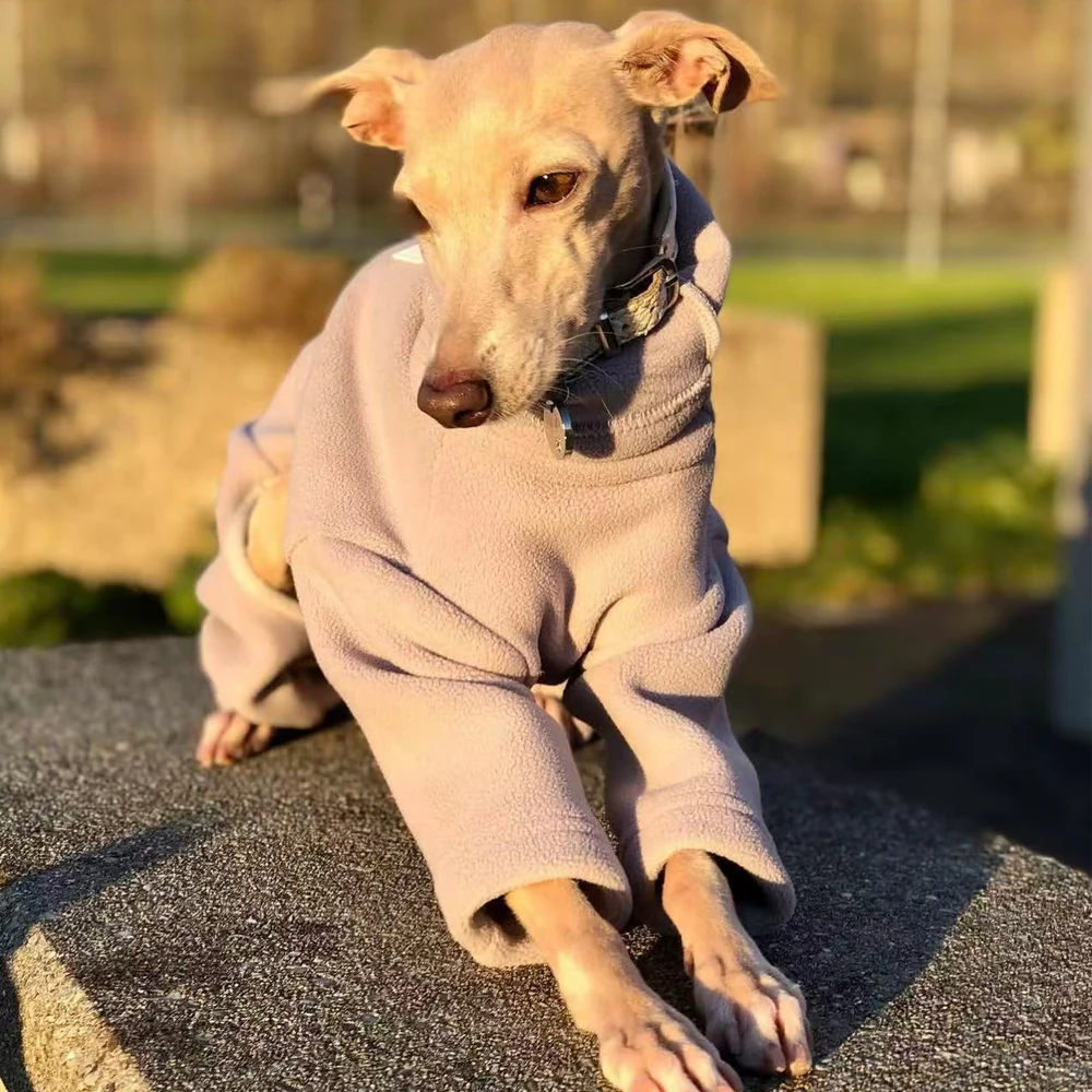 Abrigo invierno polar 4 patas para perros Whippet y Galgo Italiano
