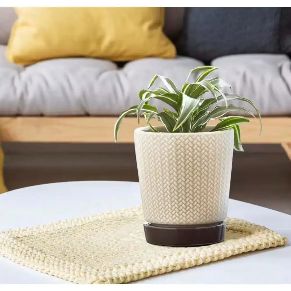 

Plant Pots, Use with Indoor, windowsill, DIY Production, Wedding and Party Favors Decoration Best Gift for Aunts
