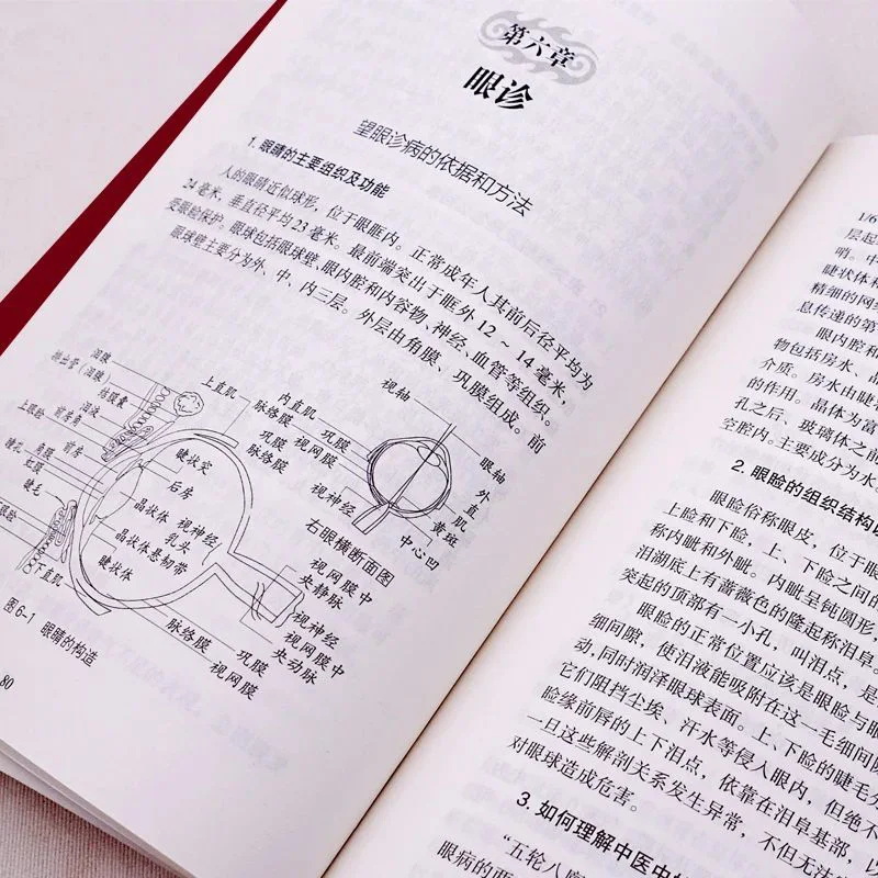 Le livre complet de diagnostic de médecine traditionnelle chinoise, un point pour le diagnostic et le traitement, livres de préservation de la santé