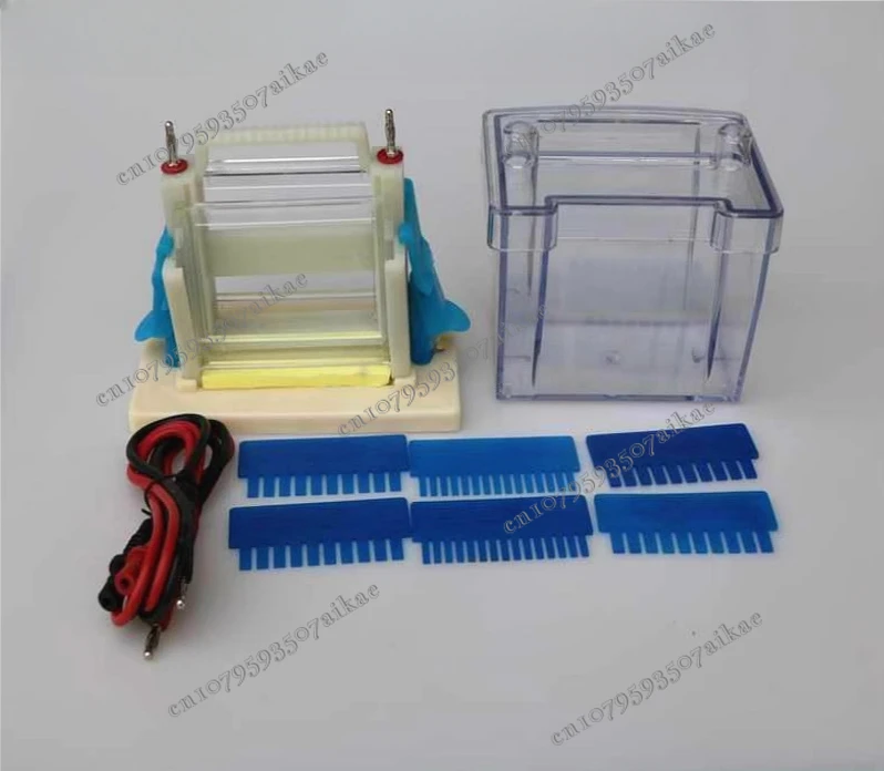 

Vertical Electrophoresis Tank High School Biology New Standard Teaching Demonstration Experimental Apparatus