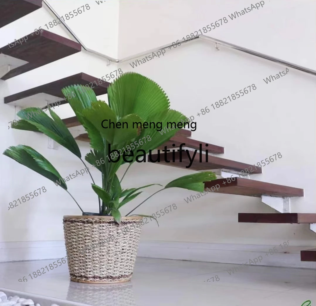 X Minimalist Simple Potted Plant Round Leaf Cactus Palm Indoor Courtyard Hot