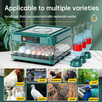 9 To 48 Eggs Incubator With Automatic Egg Turning And Humidity Monitoring Duck Incubator With Automatic Water Ionic Waterbed