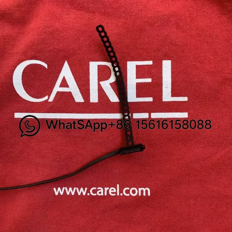Italian Carle Frozen Probe NTC060HF01 Temperature Sensor Replacement Part for Refrigeration System Compatible with Original