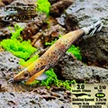 3.0 510 LEOPARD