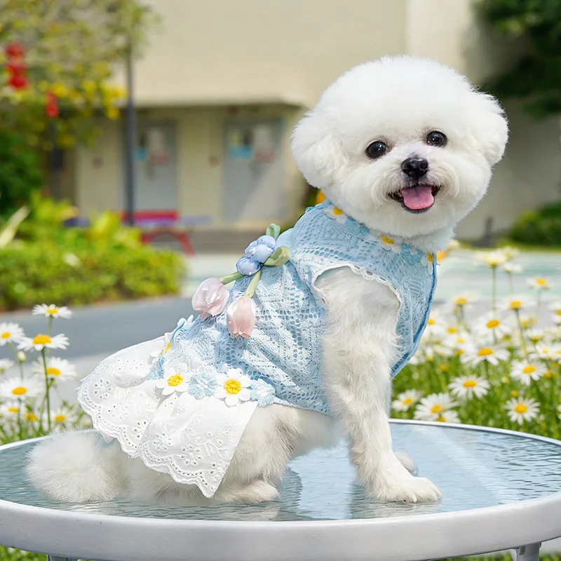 Vestido de verano para perros – Encaje margaritas Chihuahua Bichón - imagen 2