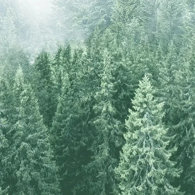 25 علبة مناديل الوجه 280 ورقة مناديل سميكة وبأسعار معقولة من 4 طبقات سميكة وورق تواليت ممتاز