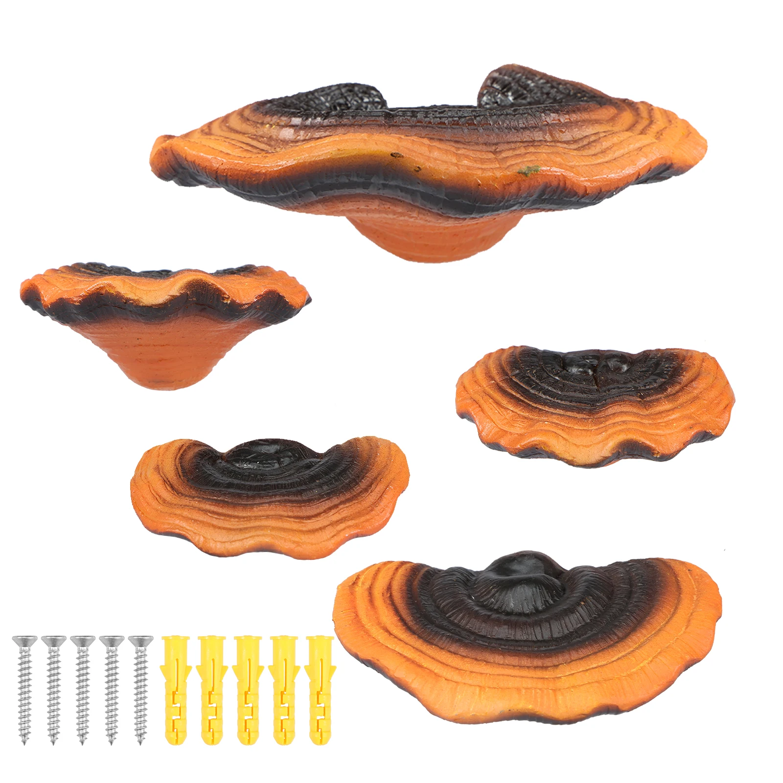 5 Pcs Mushroom Shelves Resin Mushroom Floating Shelves Reishi Shaped Mushroom Shelf Wall Decor Cute Mushroom Hanging Shelf