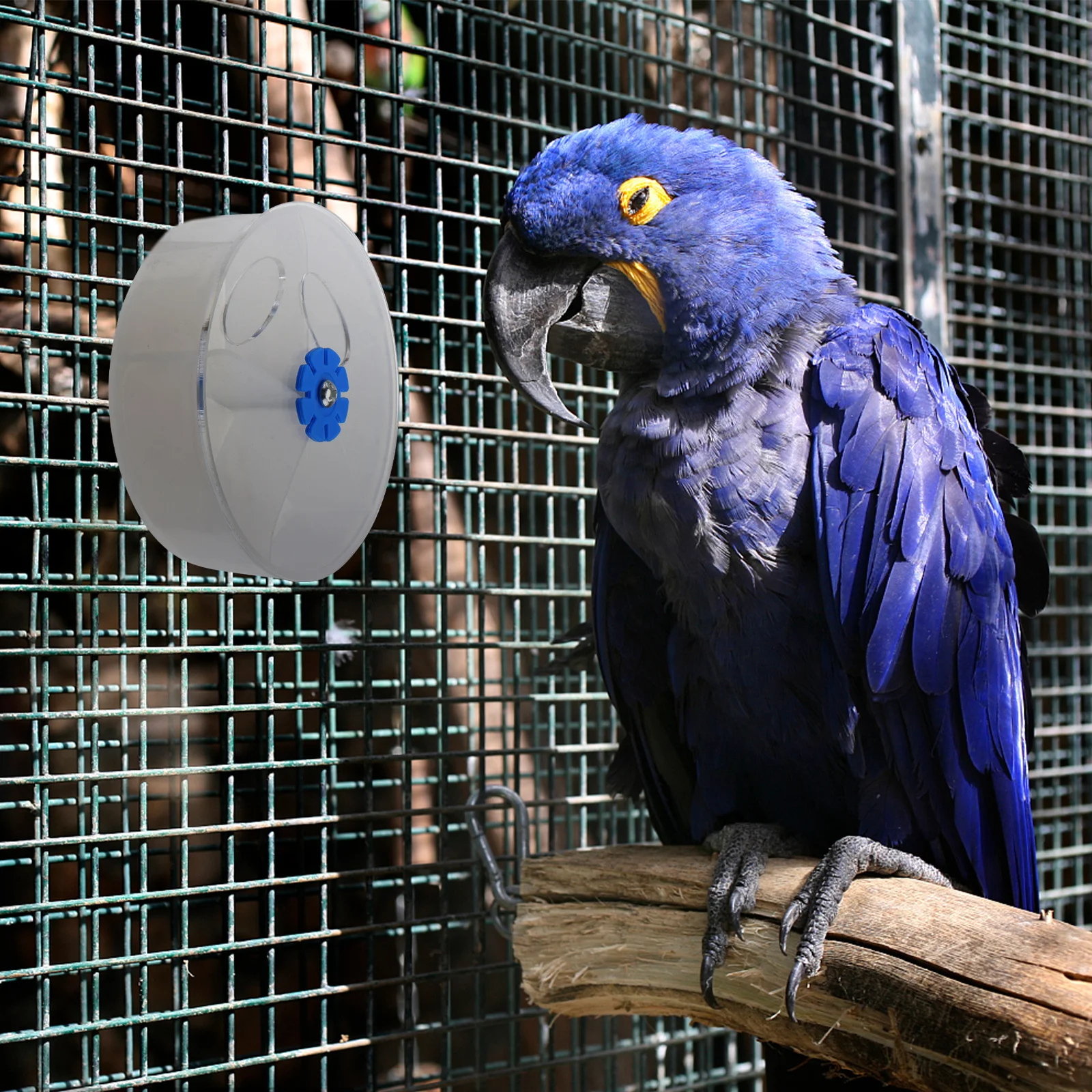 

1Pcs Foraging Ball for Parrots Acrylic Bird Feeding Puzzle Box Multi-Grid Treat Dispenser for Cockatoo Macaw Conure