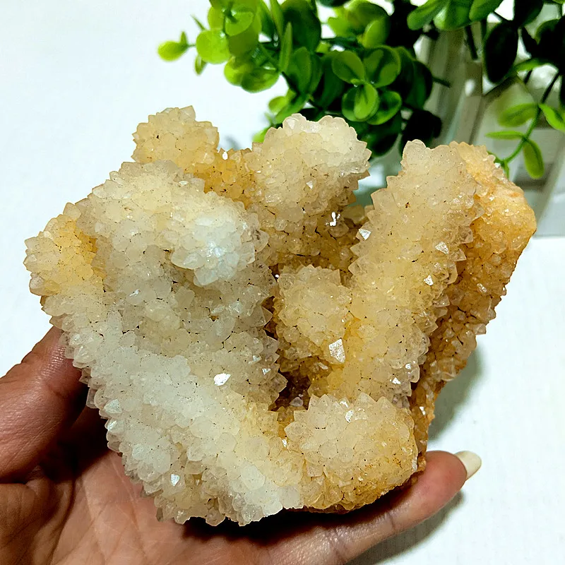 

Natural Stones Agate Finger Crystal Cluster Crystal Flower Symbiosis Mine Meditation Energy Crystal Feng Shui Room Ornament
