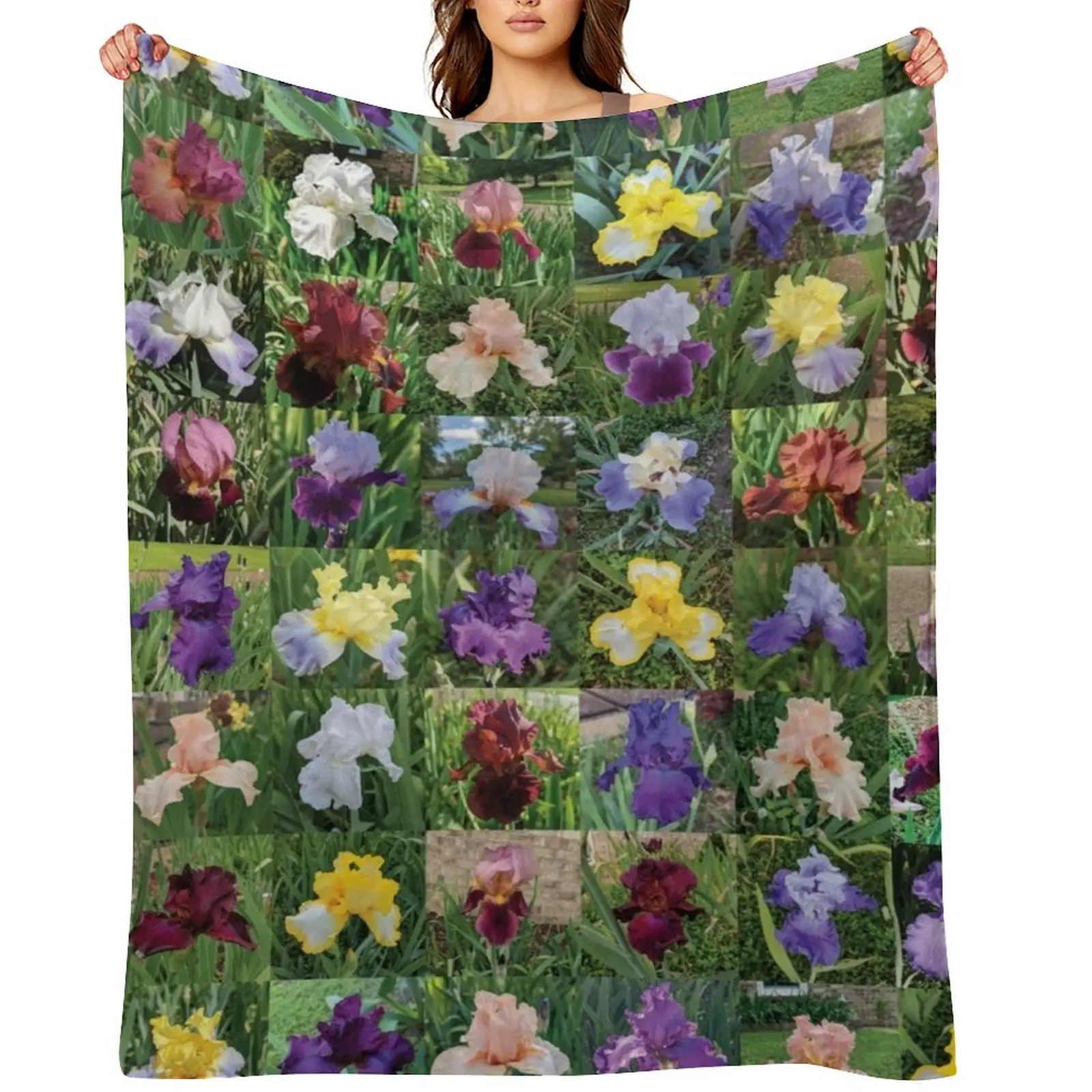 Aunt Bev's Iris Gar… - image