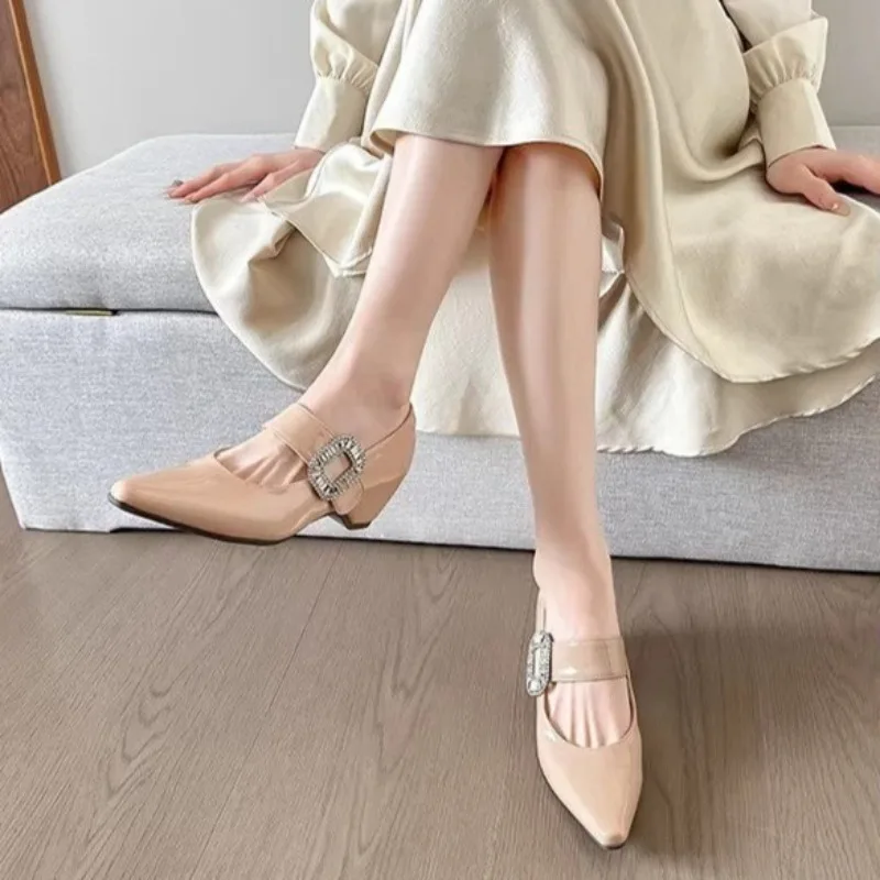 

French Mary Jane Women's Shoes Spring 2026 New High Heel Pointed Toe Shallow Mouth Heightening Single Shoes